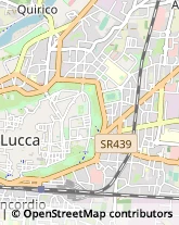 Scuole e Corsi di Lingua,55100Lucca