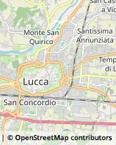 Scuole e Corsi di Lingua,55100Lucca