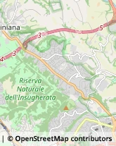 Viale Cortina d'Ampezzo, 200,00135Roma