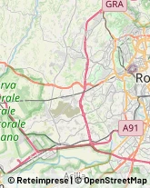 Via Girolamo Vitelli, 15,00167Roma