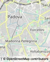 Imprese Edili,35123Padova