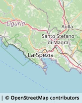 Agenzie di Animazione e Spettacolo,19031La Spezia