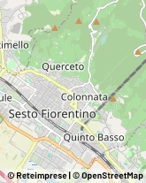 Via di Calenzano, 17,50019Sesto Fiorentino