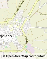 Via Antonio Canova, 16,70019Triggiano