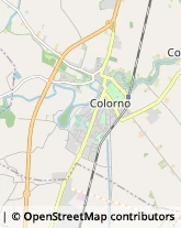 Via Bologna, 2,43052Colorno