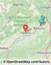 Recupero Crediti,32100Belluno