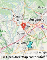 Bulbi e Sementi,24040Bergamo