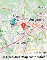 Bulbi e Sementi,24040Bergamo