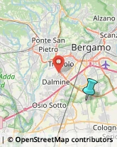 Bulbi e Sementi,24040Bergamo