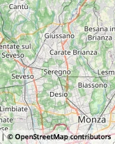 Articoli Funerari,20846Monza e Brianza