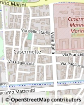 Viale Italia, 23,51100Pistoia