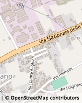 Via Dante Alighieri, 85,80030San Vitaliano