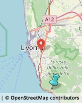 Agenzie di Animazione e Spettacolo,57128Livorno