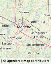 Consulenza Agricoltura e Foresta,41058Modena