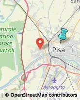 Scuole Pubbliche,56127Pisa