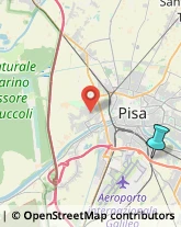 Imprese di Pulizia,56121Pisa