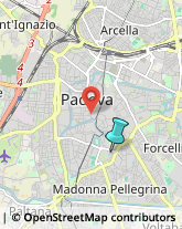 Palestre e Centri Fitness,35123Padova