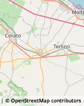 Viale Roma, 46,70038Terlizzi