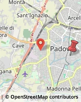 Via del Santo, 63,35123Padova