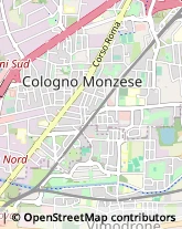 Via Volontari del Sangue, 4,20093Cologno Monzese