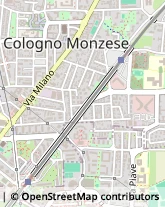 Via Bolzano, 20,20093Cologno Monzese