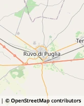 Strada Provinciale Ruvo Palombaio, 460/A,70037Ruvo di Puglia