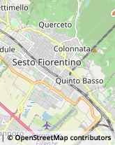 Viale Giuseppe Di Vittorio, 35,50019Sesto Fiorentino