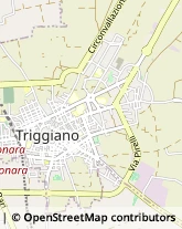 Vico Luciano Addante, 2,70019Triggiano