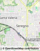 Via San Vitale, 108,20831Seregno