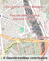 Via Pietro l'Eremita, 1,00100Roma