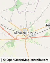 Strada Provinciale Ruvo Palombaio, 460/A,70037Ruvo di Puglia