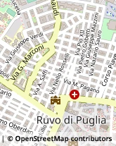 Via Don Minzoni, 32,70037Ruvo di Puglia