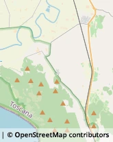 Equitazione - Impianti e Corsi,58100Grosseto