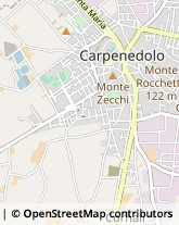 Via Paolo VI, 8,25013Carpenedolo