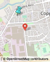 Consulenza di Direzione ed Organizzazione Aziendale,44034Ferrara