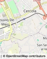 Viale delle Magnolie, 13,80040Cercola