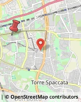 Viale Partenope, 16,00177Roma