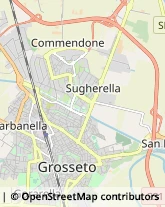 Via Birmania, 40,58100Grosseto