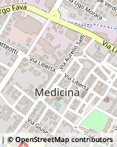 Piazza Giuseppe Garibaldi, 37/38,40059Medicina