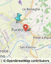 Campeggi, Villaggi Turistici e Ostelli,50054Firenze