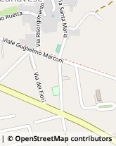 Viale Guglielmo Marconi, 42/A,10090Romano Canavese