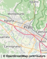 Trasporto Disabili,59100Prato