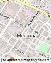 Piazza Giuseppe Garibaldi, 37/38,40059Medicina