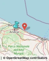 Trasporti Internazionali,76123Barletta-Andria-Trani