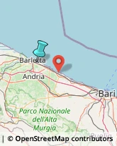 Trasporti Internazionali,70051Barletta-Andria-Trani