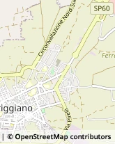 Via Giovanni Falcone, 6/B,70019Triggiano