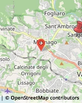 Viale Padre Gian Battista Aguggiari, 130,21100Varese