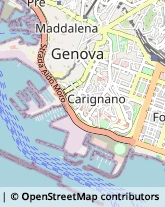 Via Alghero, 1/6,16128Genova