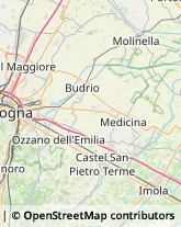 Legna da ardere,40138Bologna