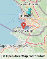 Estetiste,34141Trieste